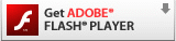 Donwlad Flash Player